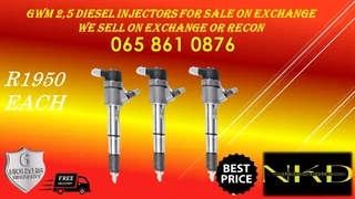 Gwm 2.5 Diesel Injectors For Sale On Exchange