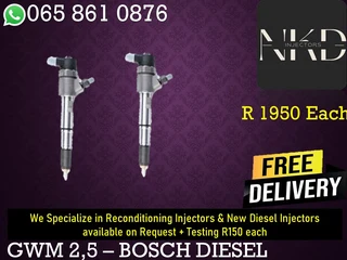 Gwm 2.5 Diesel Injectors For Sale Or To Recon