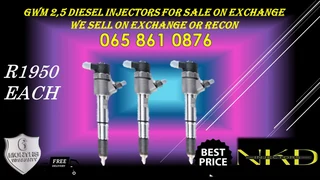Gwm 2.5 Diesel Injectors For Sale Or To  Recon