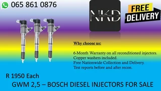 Gwm Steed Diesel Injectors For Sale On Exchange Or Recon