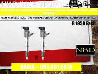 Gwm 2.5l Diesel Injectors For Sale On Exchange Or To Recon