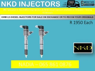 Gwm 2.5l Diesel Injectors For Sale Or To Recon