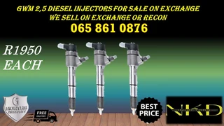 Gwm 2.5 Diesel Injectors For Sale Or To Recon