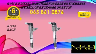 Gwm 2.5 Diesel Injectors For Sale Or To Recon
