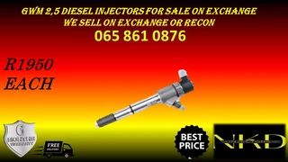 Gwm 2.5 Diesel Injectors For Sale On Exchange Or To Recon
