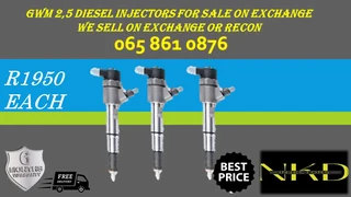 Gwm 2.5 Diesel Injectors For Sale Or To Recon