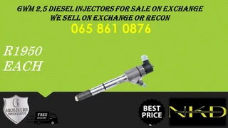 Gwm 2.5 Diesel Injectors For Sale Or To Recon