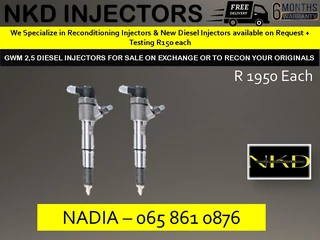 Gwm 2.5l Diesel Injectors For Sale On Exchange Or To Recon