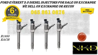 Ford Everest (3.0/bt50) Diesel Injectors For Sale On Exchange Or To Recon With Warranty