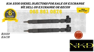 Hyundai Terrican 2.9 Diesel Injectors For Sale Or To Recon
