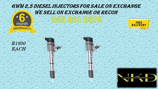 Gwm 2.5 Diesel Injectors For Sale Or To Recon