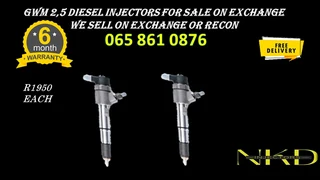Gwm 2.5 Diesel Injectors For Sale On Exchange