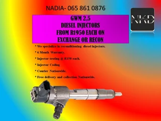 Gwm 2,5 Diesel Injectors For  Sale Or To Recon