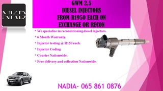 Gwm 2.5 Diesel Injectors For Sale Or To Recon