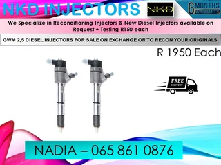 Gwm 2.5l Diesel Injectors For Sale On Exchange Or To Recon