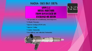 Gwm 2.5 Diesel Injectors For Sale Or To Recon