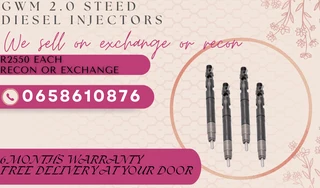 Gwm 2.0steed Diesel Injectors For Sale