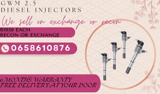 Gwm 2.5 Diesel Injectors For Sale On Exchange