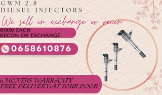 Gwm 2.8 Diesel Injectors For Sale On Exchange