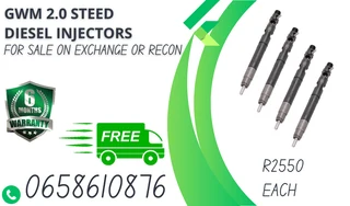 Gwm 2.0 Steed Diesel Injectors For Sale Or To Recon On Exchange