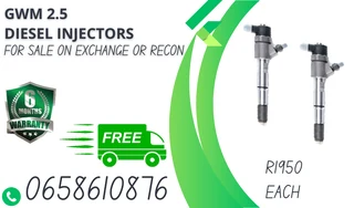 Gwm 2.5 Diesel Injectors For Sale Or To Recon