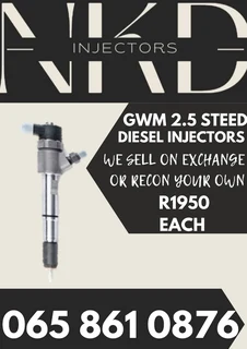 Gwm 2.5 Diesel Injectors For Sale Or To Recon