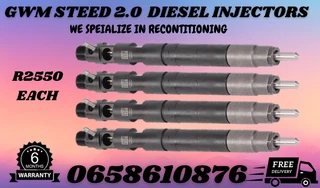 Gwm 2.0 Steed Delphi Diesel Injectors For Sale Or To Recon