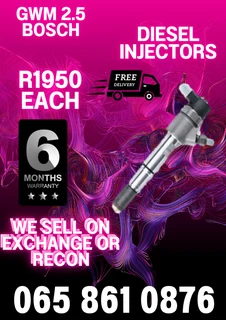 Gwm 2.5 Diesel Injectors For Sale Or To Recon
