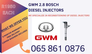 Gwm Diesel Injectors For Sale Or Recon Your Own With Warranty