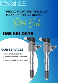 Gwm 2.5 Diesel Injectors For Sale On Exchange Or To Recon