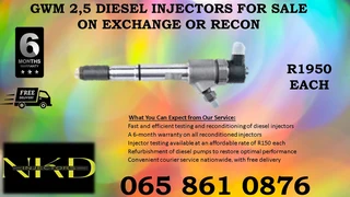 Gwm 2.5 Diesel Injectors For Sale On Exchange Or To Recon