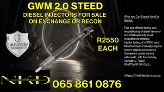 Gwm Steed 2.0 Diesel Injectors For Sale O Service Exchange Or Refurbishment