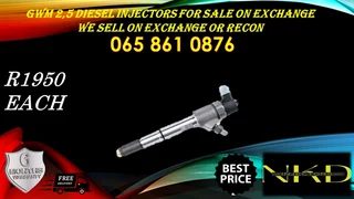 GWM 2.5 diesel injectors for sale