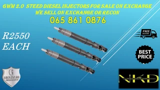 Gwm 2.0 Steed Delphi Diesel Injectors For Sale With Warranty