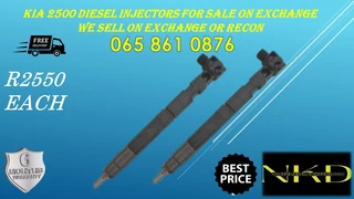 Kia 2500 Delphi Diesel Injectors For Sale Or Recon With Warranty