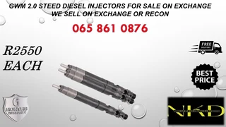 Gwm Steed 2.0 Diesel Injectors For Sale On Exchange
