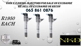 Gwm 2.5 Diesel Injectors For Sale
