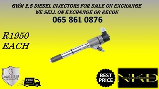 Gwm 2.5 Diesel Injectors For Sale On Exchange