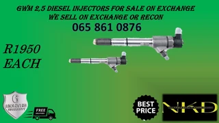 Gwm 2.5 Diesel Injectors For Sale Or To Recon