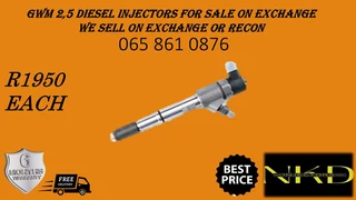 Gwm 2.5 Diesel Injectors For Sale Or To Recon