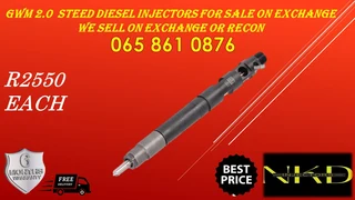 Gwm Steed 2.0 Diesel Injectors For Sale