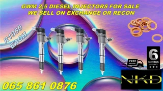 Gwm 2.5 Diesel Injectors For Sale On Exchange.