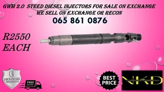 Gwm 2.0 Steed Diesel Injectors For Sale Or To Recon With Warranty