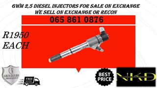Gwm 2.5 Diesel Injectors For Sale Or To Recon