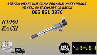 Gwm 2.5 Diesel Injectors For Sale Or To Recon