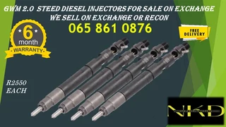 Gwm Steed 2.0 Diesel Injectors For Sale On Exchange Or Recon