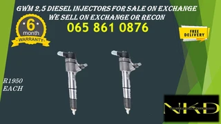 Gwm 2.5 Diesel Injectors For Sale On Exchange Or Recon Your Originals
