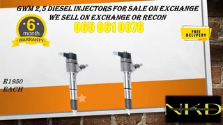 Gwm 2.5 Diesel Injectors For Sale Or To Recon