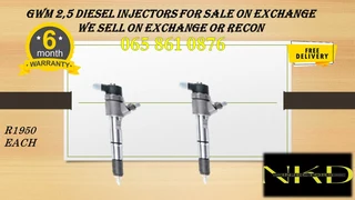 Gwm 2.5 Diesel Injectors For Sale  Or To Recon