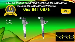 Gwm 2.5 Diesel Injectors For Sale Or To Recon
